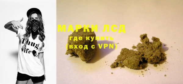 спайс Богданович