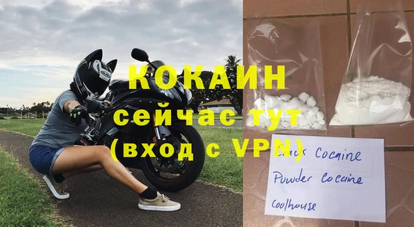 спайс Богданович